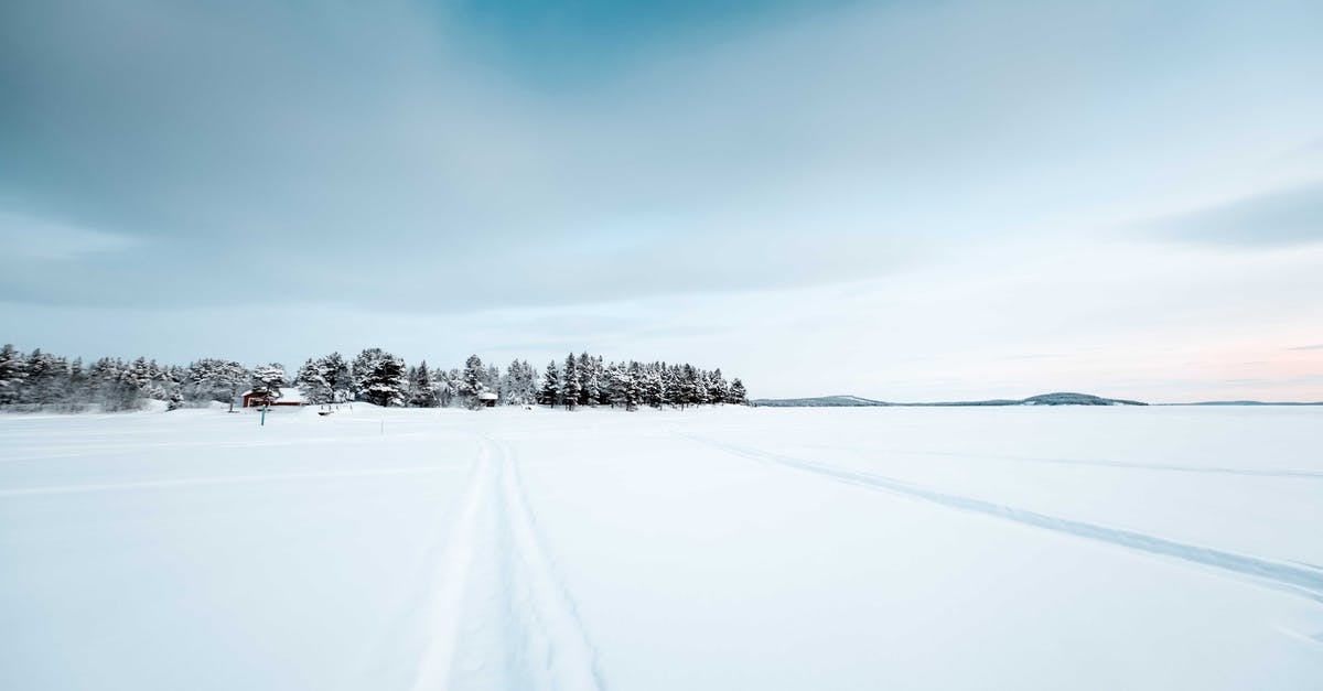 How to use cloud cover information to track auroras? - Vast terrain covered with snow and traces against tall coniferous trees in nature against cloudy sky on cold winter day