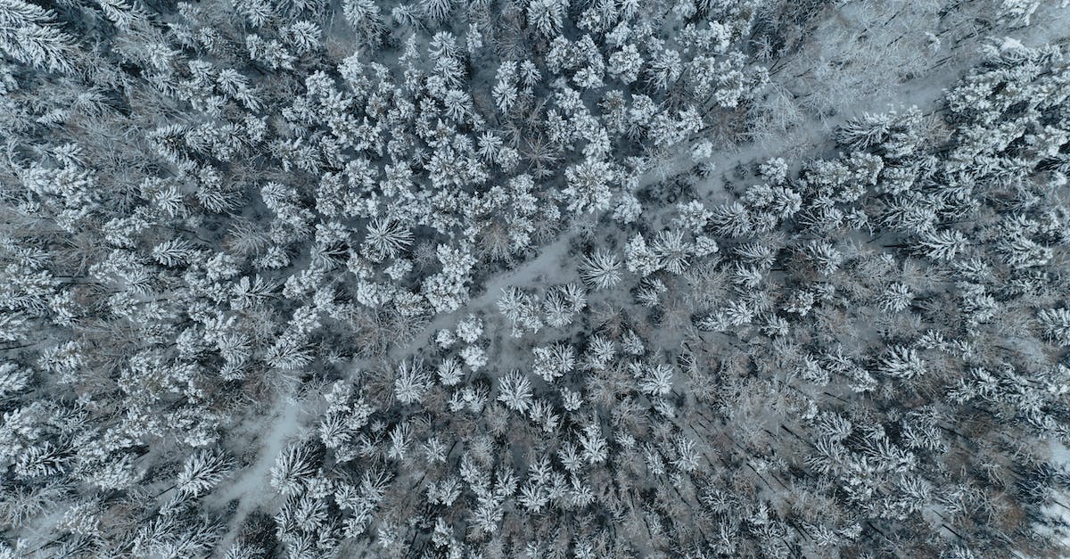 Hurricane season in Mexico - Free stock photo of abstract, bird eye, cold