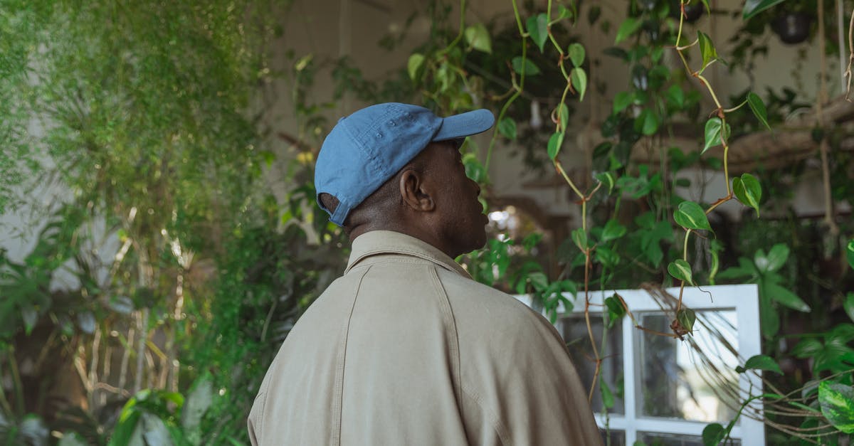 Hypothetical roaming scenarios - Photo of Man Roaming Around Greenhouse