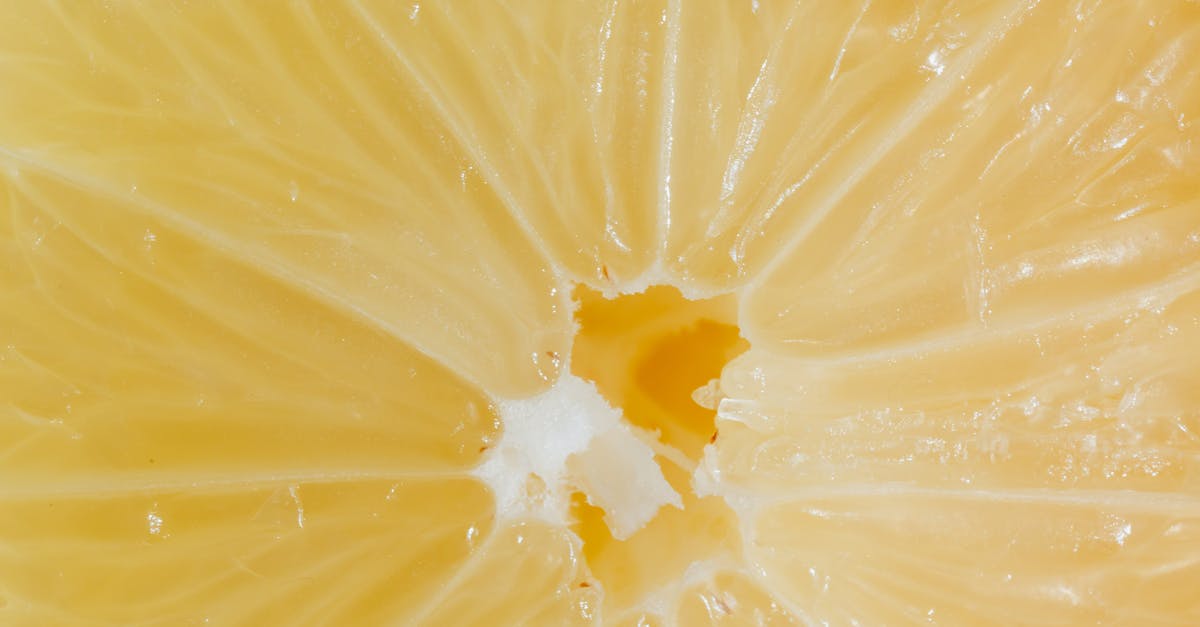 I-94: a half an hour overstay - Closeup cross section of lemon with fresh ripe juicy pulp