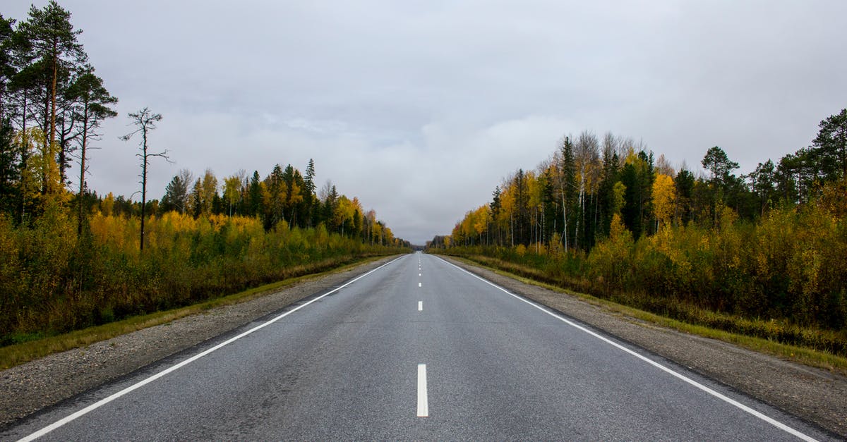 I-95 Carolina Hurricane Florence Highway Closures - Empty Road in Summer Forest Landscape