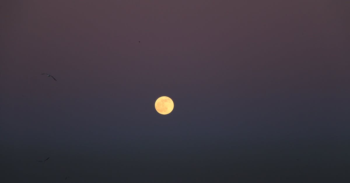 I bought a flight ticket, but now I have a health issue which specifically forbids me to take flights. Can I get a full refund? - Picturesque view of silhouette of birds flying over cloudless night sky with shining moon I bought a flight ticket, but now I have a health issue which specifically forbids me to take flights. Can I get a full refund? - Picturesque view of silhouette of birds flying over cloudless night sky with shining moon