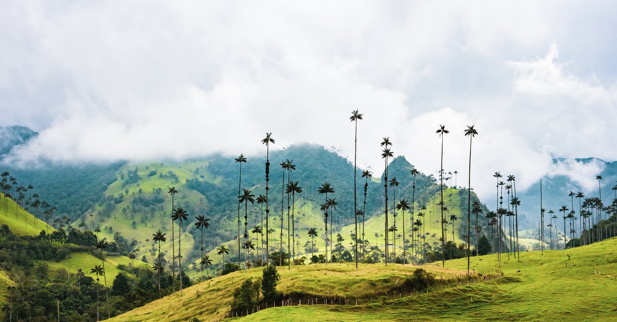 I have dual Colombia/US citizenship. Travel to Colombia - Tall Trees On THe Mountain Ranges