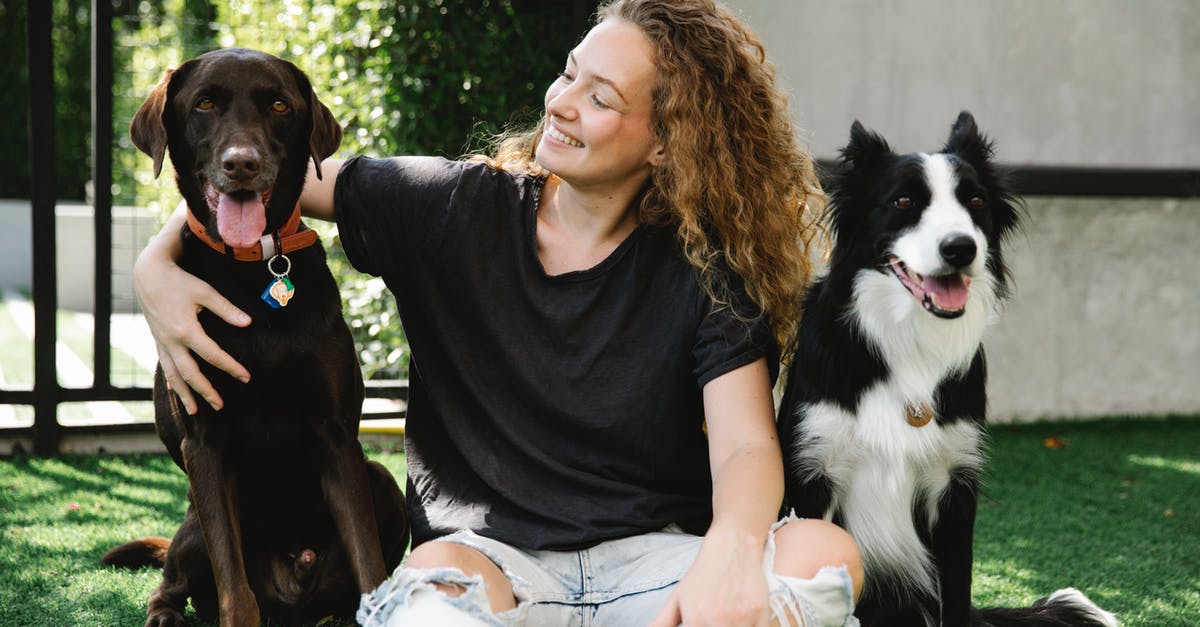 I was told my signature was ripped out of my passport. Should I be worried? - Happy owner between bird dog and Border Collie on meadow I was told my signature was ripped out of my passport. Should I be worried? - Happy owner between bird dog and Border Collie on meadow