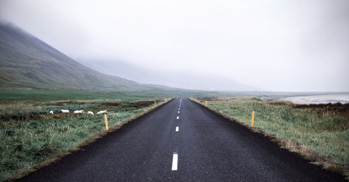 Iceland in late Autumn - Black Asphalt Road Surrounded by Green Grass