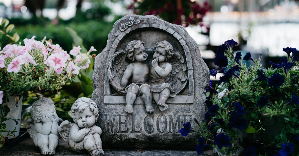 Identify a plaque in Prague Vyšehrad cemetery - Gray Concrete Angel Statue Near Purple Flowers