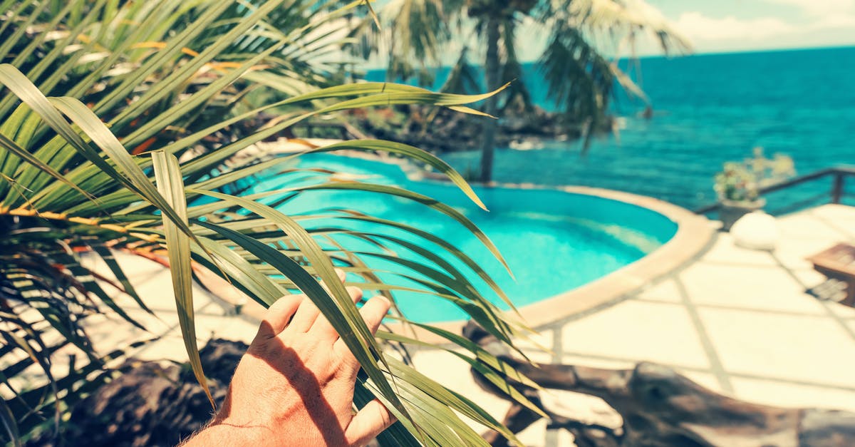 IF UK leaves EU on March 29th, do EU holiday makers have to leave the country? - Photo of Person Touching Palm Leaves