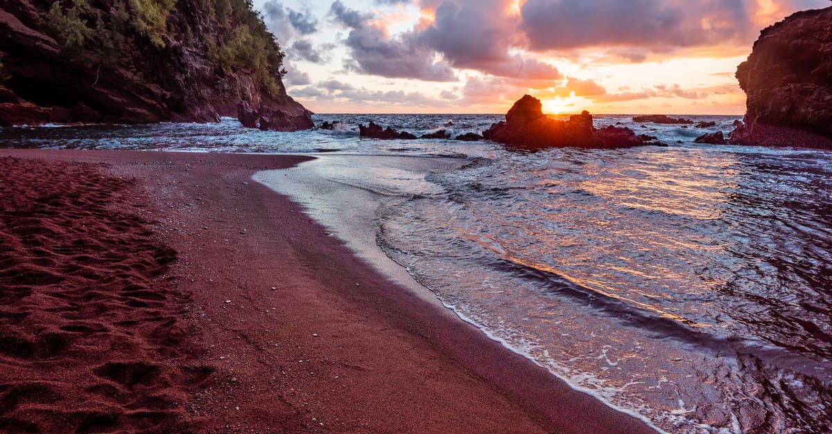 Importing shells from a US beach into Japan - Shore During Sunset