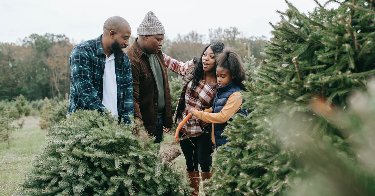 In france, when are supermarkets closed or close early for the christmas / new years period (2019/2020)? - Black family sawing green lush fir tree