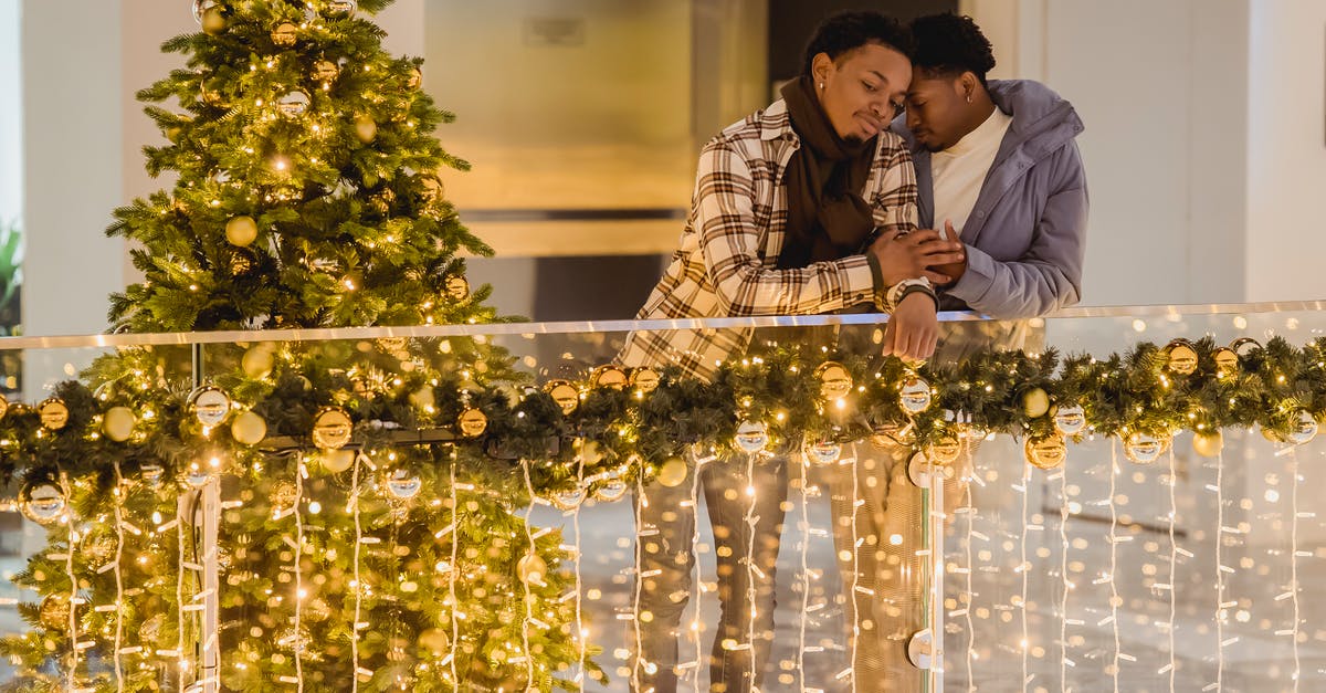 In france, when are supermarkets closed or close early for the christmas / new years period (2019/2020)? - Black couple of men cuddling on balcony with shiny garlands