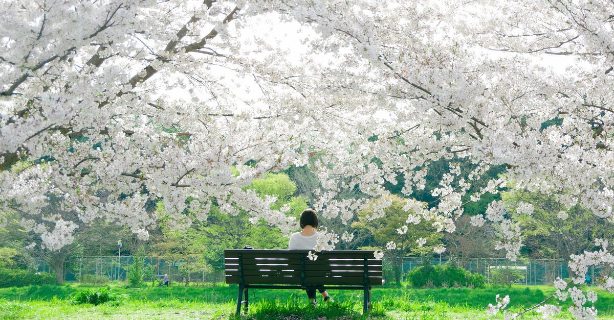 In Nikko, Japan what kind of hot spring options are available? - Back View of a Woman Sitting on a Bench