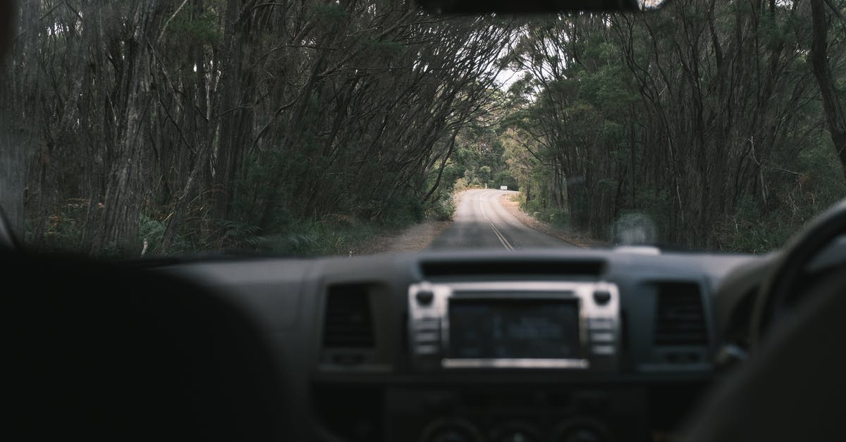 In the US, should I rent a car through travel agencies or directly with car rental companies? - Through inside automobile windshield view of empty roadway between green trees on summer day In the US, should I rent a car through travel agencies or directly with car rental companies? - Through inside automobile windshield view of empty roadway between green trees on summer day