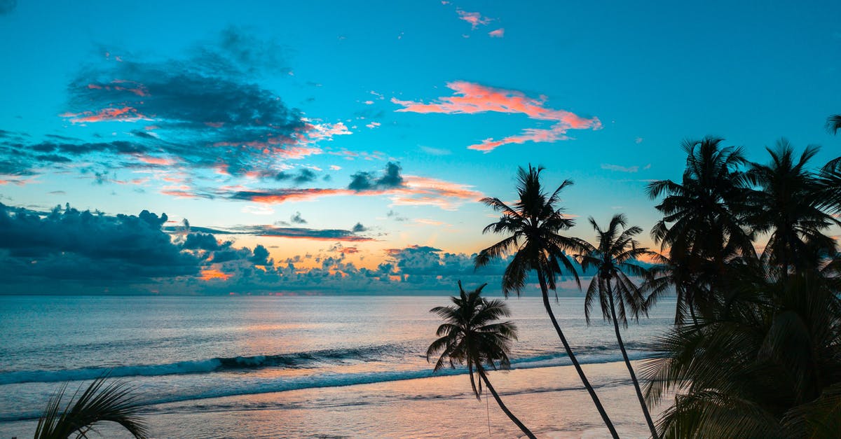 Indian residing in Switzerland travelling to Cancun Mexico - Palm Tree Near Body of Water during Sunset