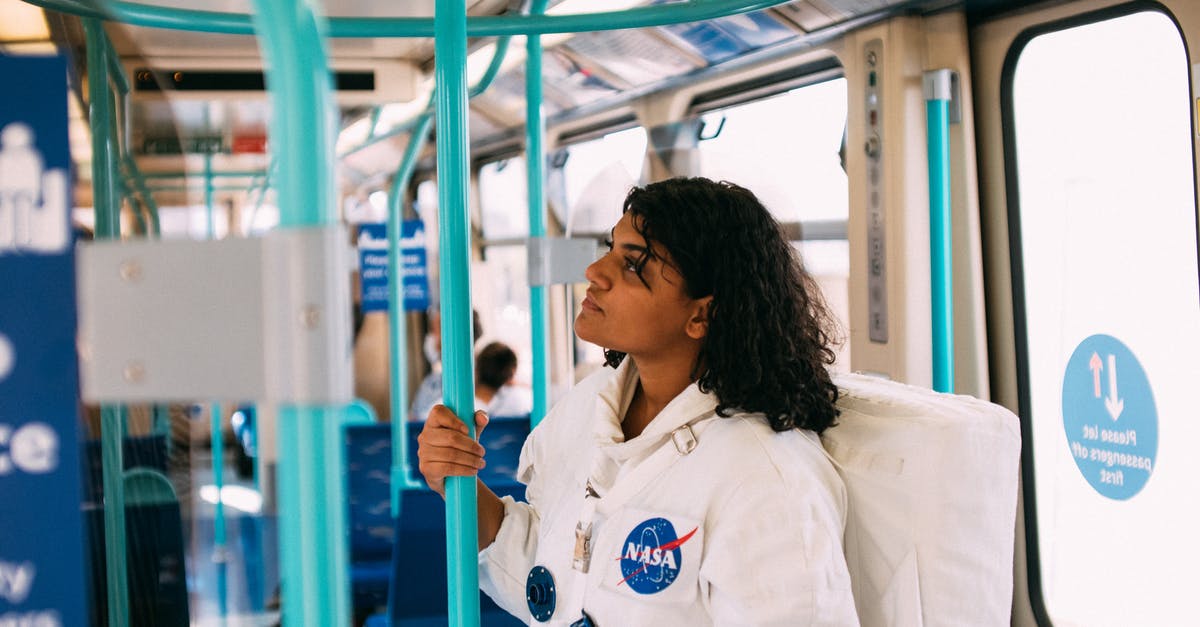 Indian waitlisted train tickets - Woman In A Costume Inside A Train