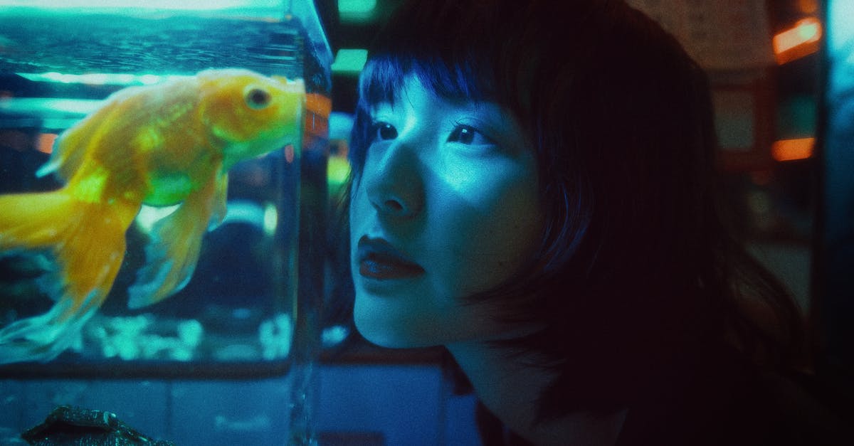 Indoor swimming in Tel Aviv. Israel? - Side view of curious Asian female looking at goldfish swimming in aquarium in dark room