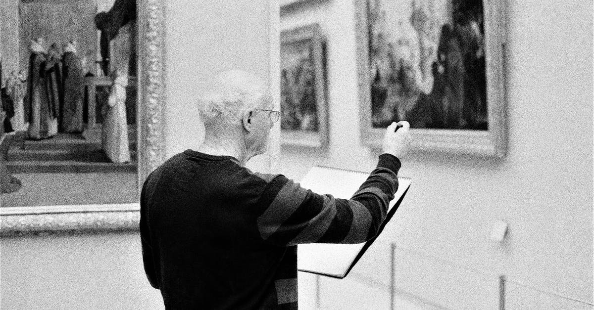 Infant visitor visa - Black and White Photo with Grain of a Man Sketching in an art Gallery