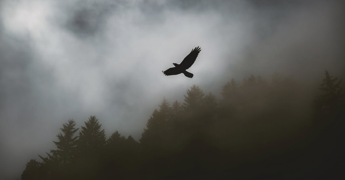 Insurance against flight cancellation due to weather in Canada [closed] - Black Hawk Soaring