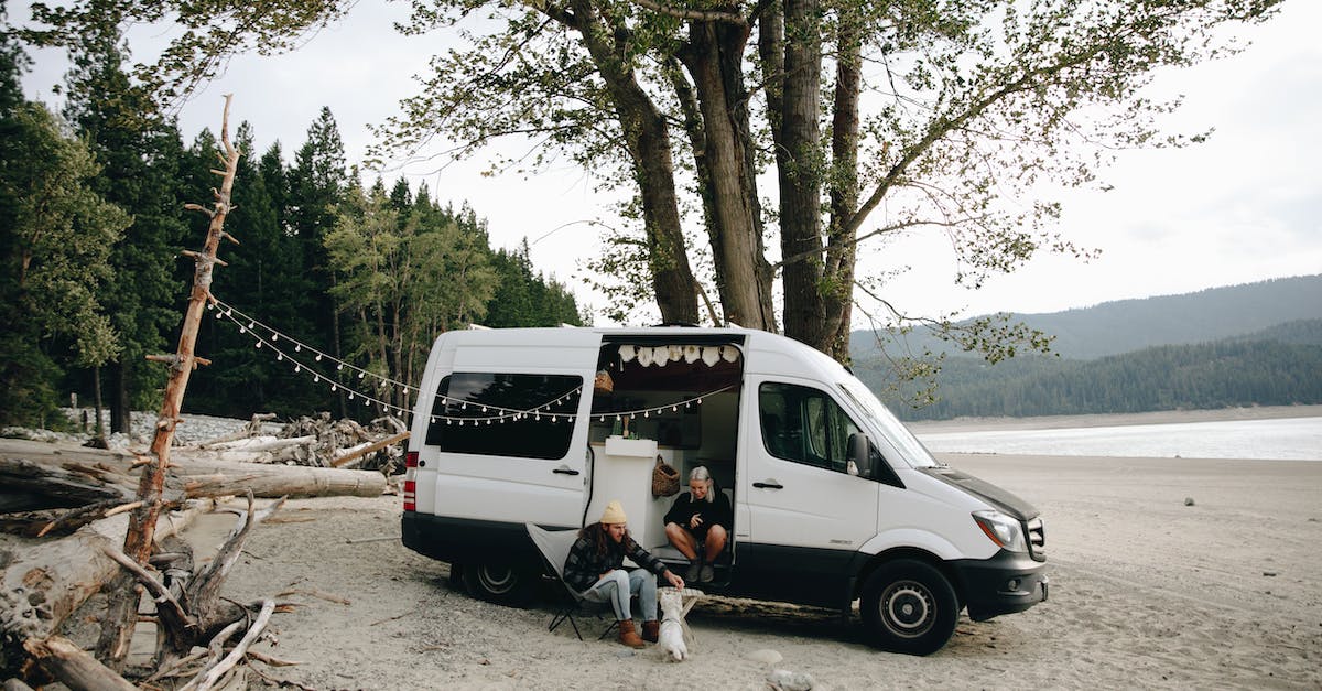 Insurance for campervan in NZ - Man and Woman Sitting on White Van Near Green Trees