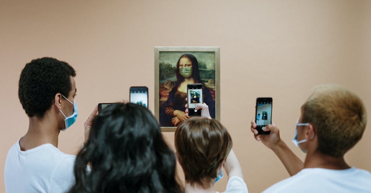 International health insurance expires while abroad, now what? - People Taking Picture of A Painting Of Mona LIsa With Face Mask