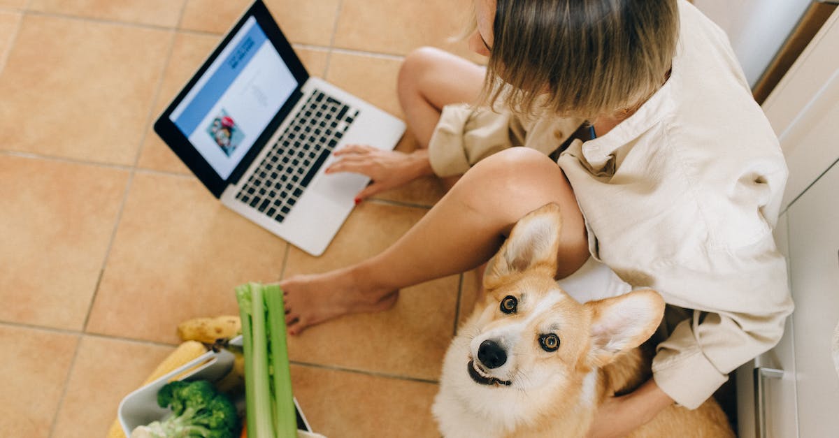 Internet Service for multiple people - A Cute Dog Looking Up while Sitting Beside a Person Using Laptop