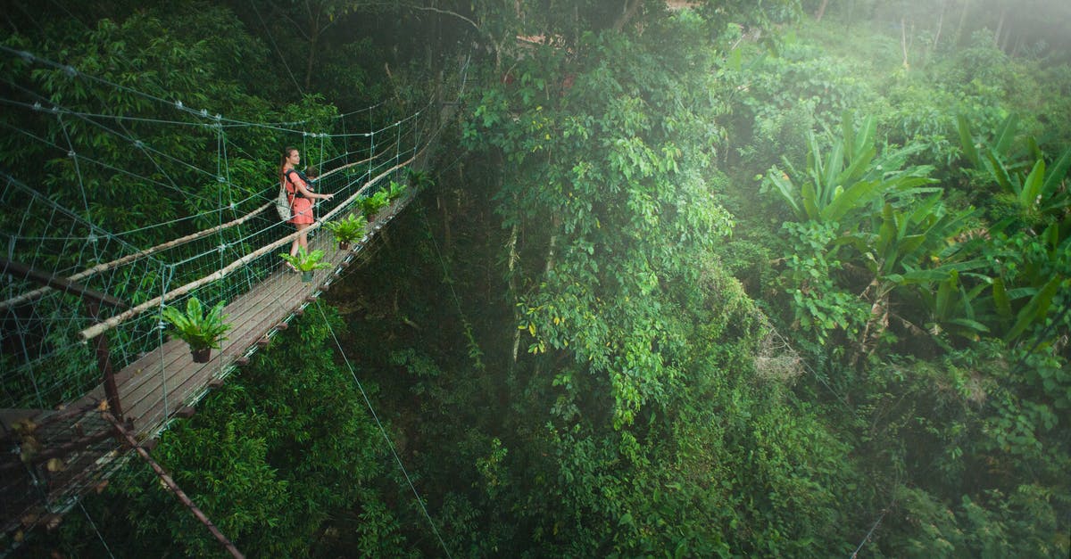 Iquitos or Puerto Maldonado, for jungle adventures in Peru? - Girl Wearing Pink Dress Standing on Bridge Above Trees