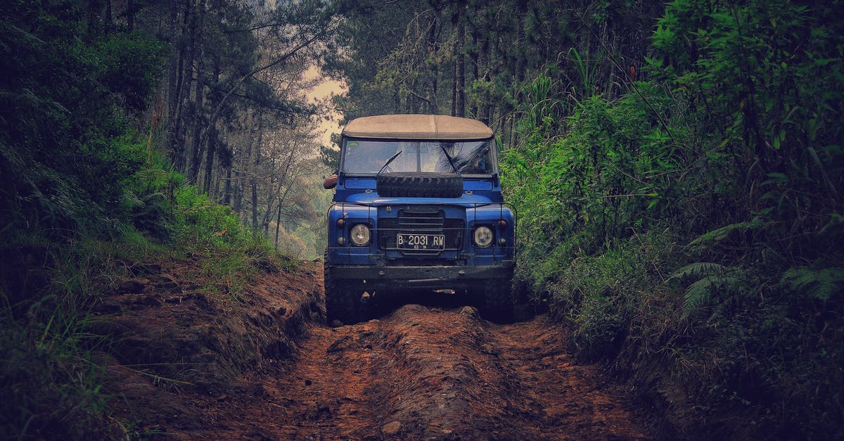 Iquitos or Puerto Maldonado, for jungle adventures in Peru? - Blue Car on Dirt Road Between Green Leaf Trees