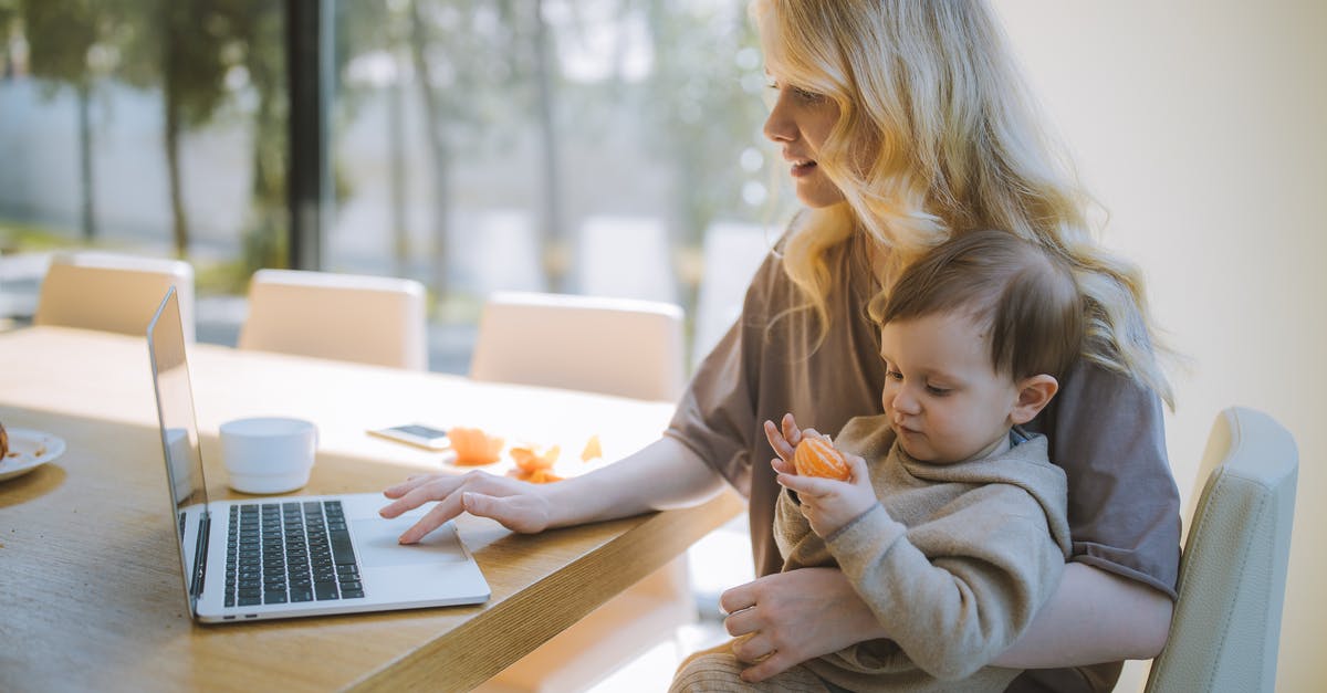 Ireland visit visa for work permit holder parent - Woman Carrying her Baby and Working on a Laptop