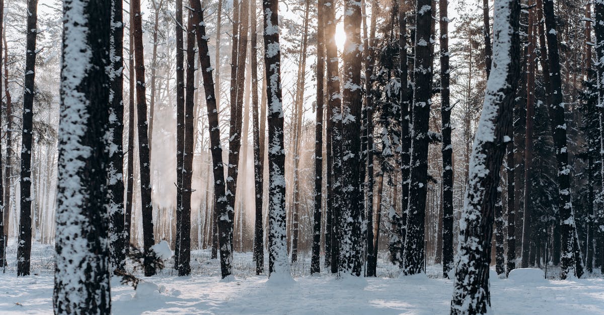 Is a 13-hour layover in the middle of the night enough time to go see Buckingham Palace? - Woods Covered With Snow Is a 13-hour layover in the middle of the night enough time to go see Buckingham Palace? - Woods Covered With Snow