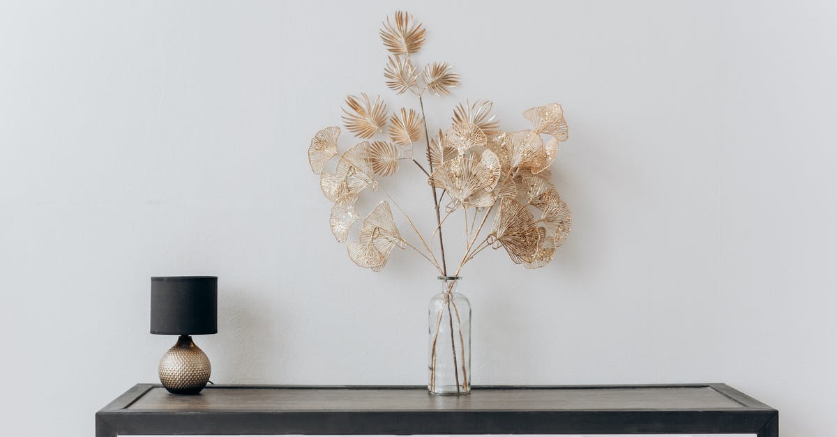 Is a Libyan visa issued before the revolution still valid? -  Flower Vase And Lamp On Black Vase on A Console Table