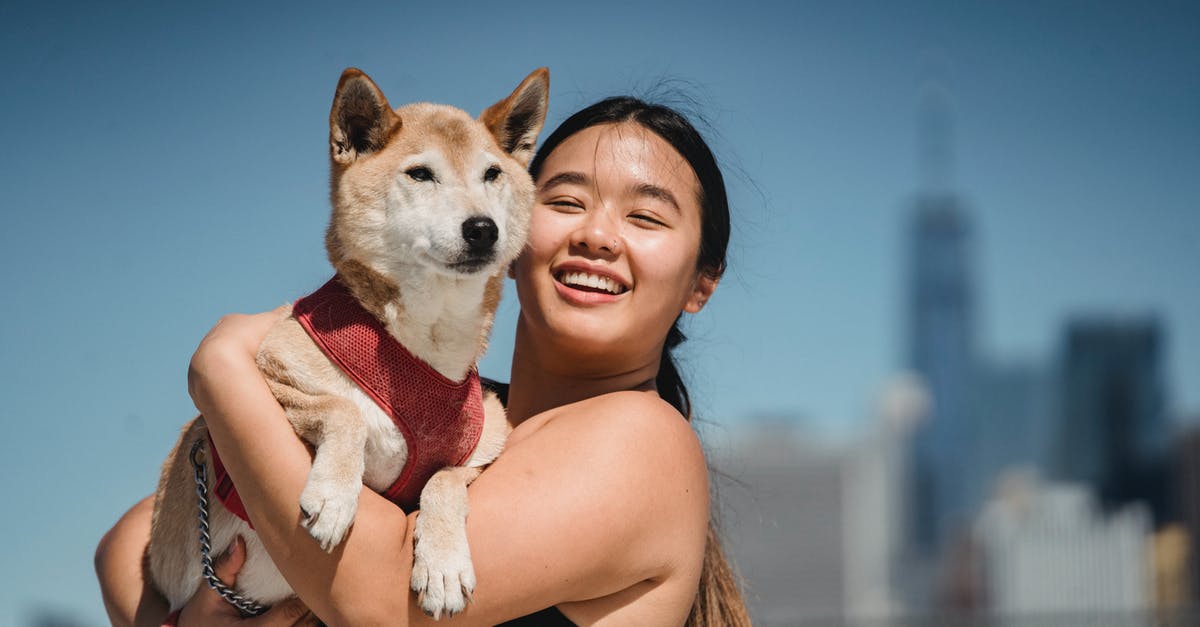 Is Amsterdam a dog friendly city? - Happy ethnic female demonstrating cute funny dog and smiling on blurred background of city