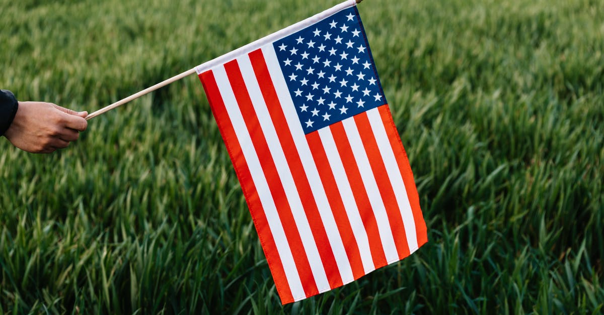 Is an entry to Mexico a red flag in U.S. immigration? - Crop faceless person holding spiky stick with American flag representing stripes and stars of bright colors on field with growing grass in daylight