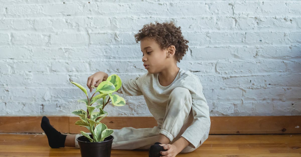 Is appearance important at the border? - Calm black boy with flowerpot