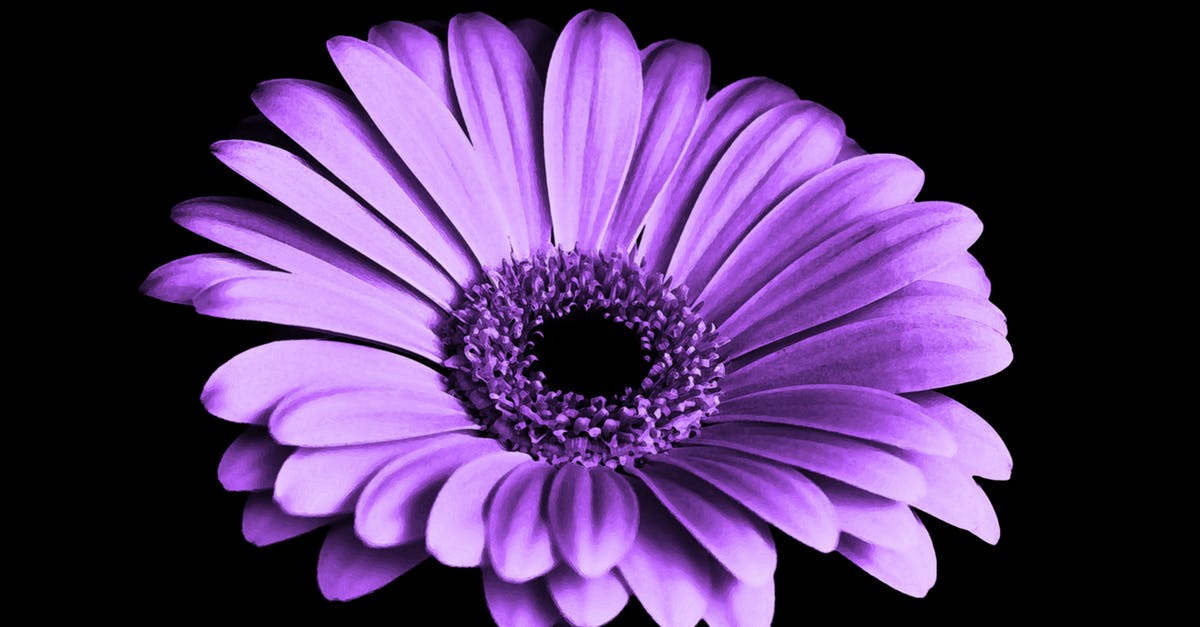 Is Berlin and Munich doable in a single weekend? [closed] - Close Up Photography of Purple Petaled Flower