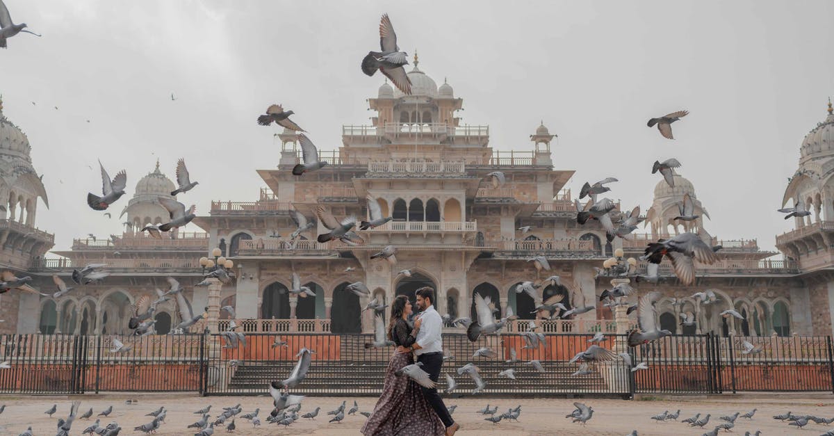 Is immigration and baggage checkin required in Chicago, if I am flying from Tampa to Chennai, India - A Couple Standing in Front of Albert Hall Museum while Surrounded with Birds Flying