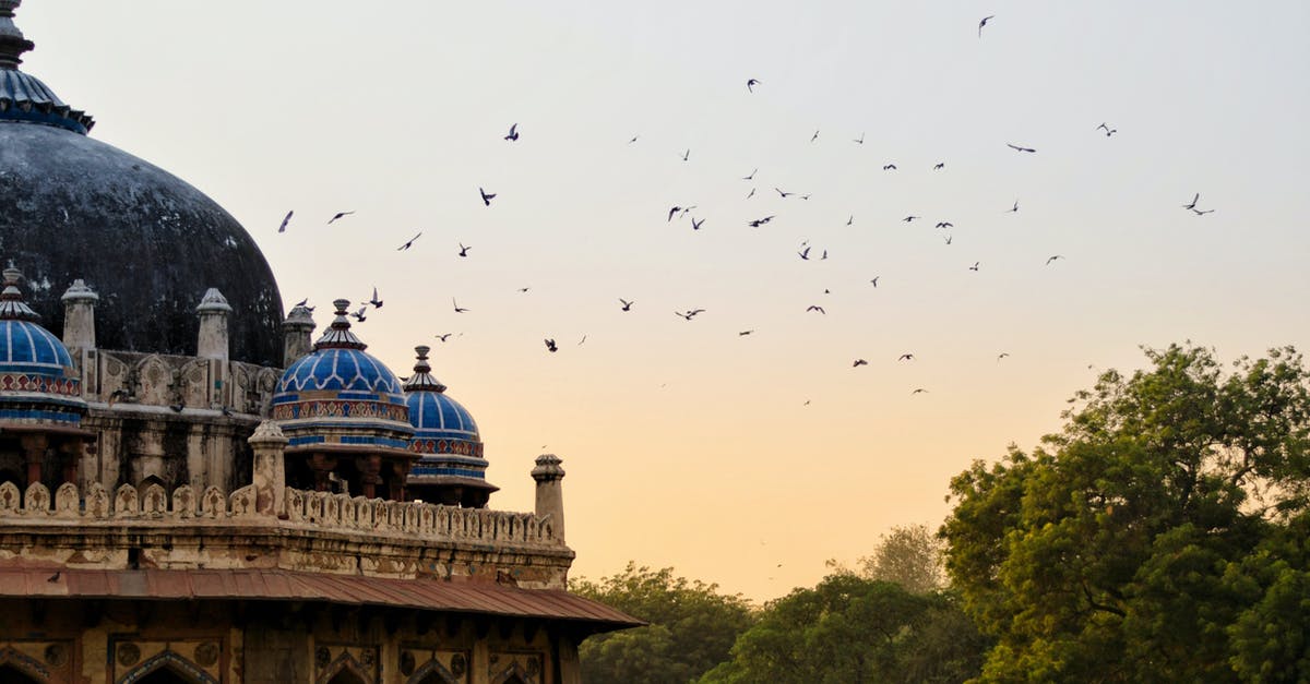 Is immigration and baggage checkin required in Chicago, if I am flying from Tampa to Chennai, India - Free stock photo of ancient, architecture, building