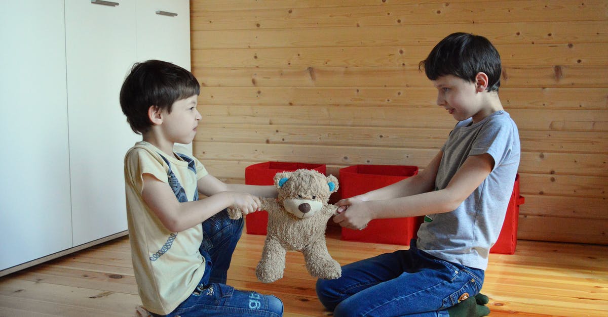 Is it a problem for wrong gender on flight tickets? - Side view full length irritated fighting brothers sitting on floor and pulling teddy bear to sides