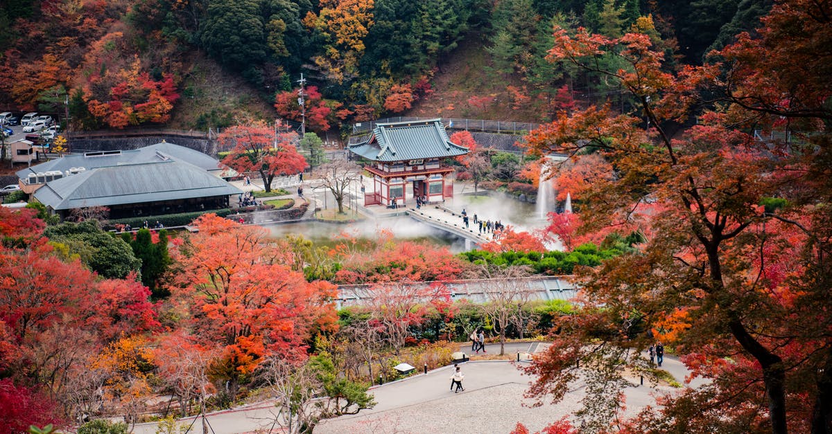 Is it legal to bring a drone to Japan? - Bird's Eye View Of Trees