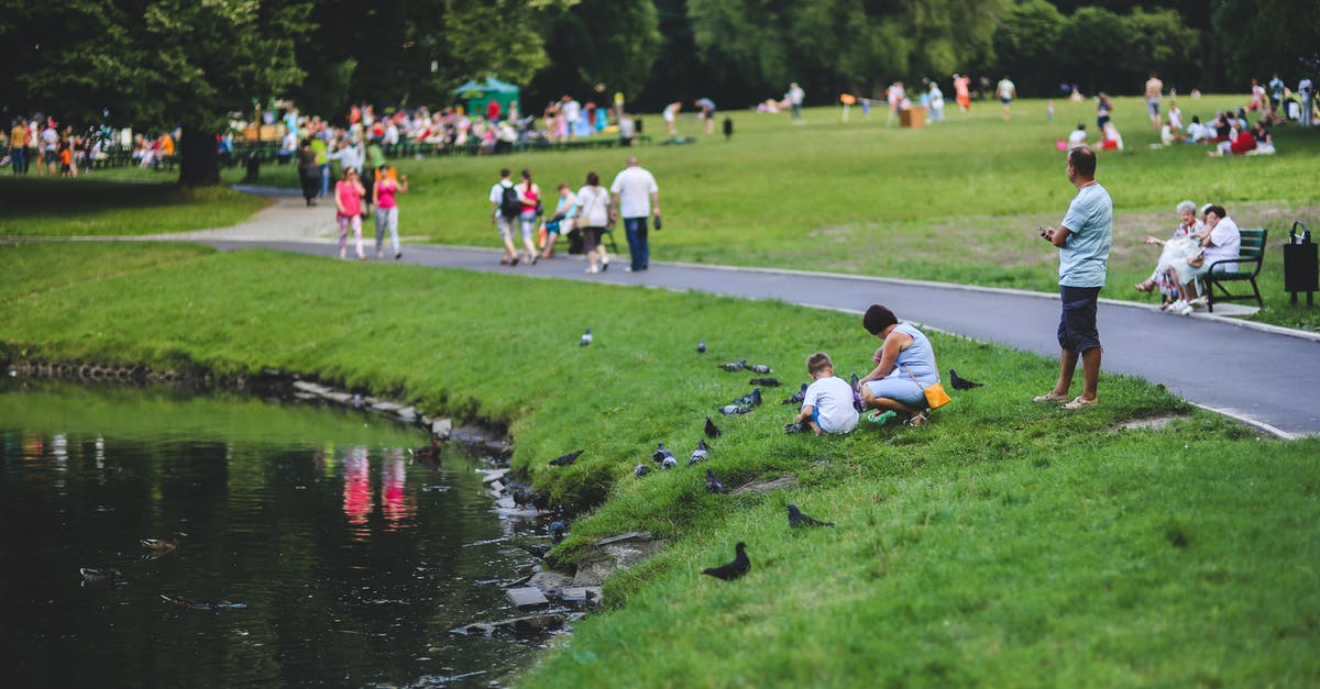 Is it legal to feed the pigeons in Stockholm? - Feeding the pigeons