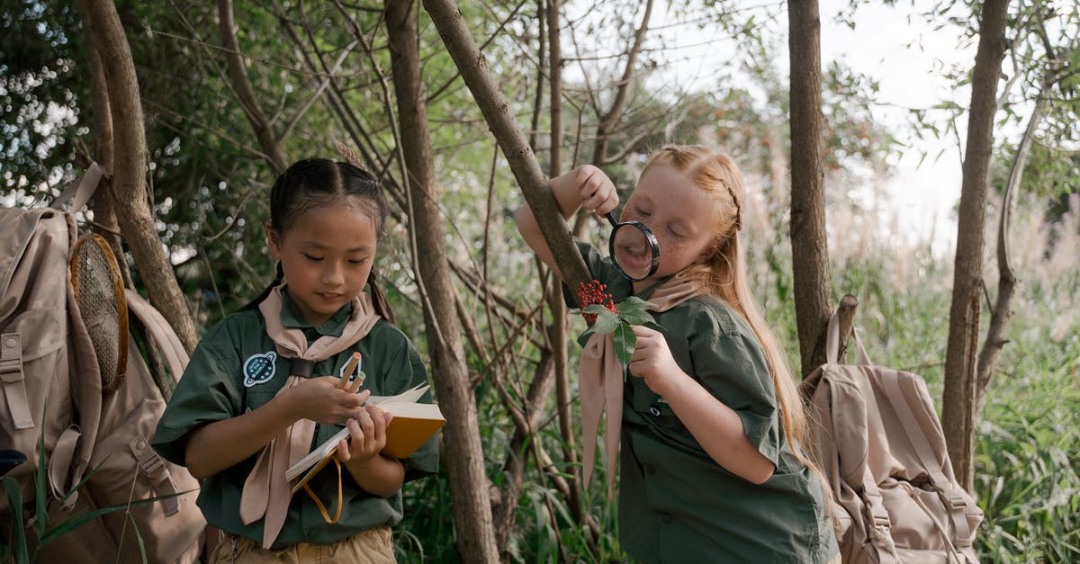 Is it necessary to book OBB Rex trains in advance? - Young Girl Scouts in the Camping Site