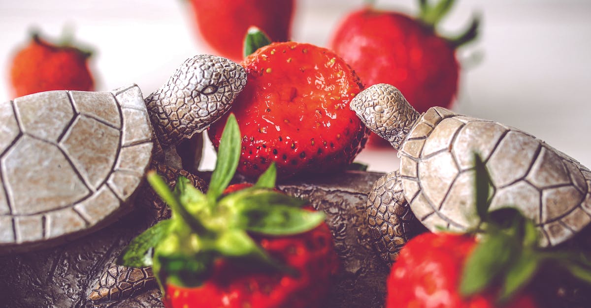 Is it OK to eat turtles in Cambodia? - Turtle Figurines with Strawberries