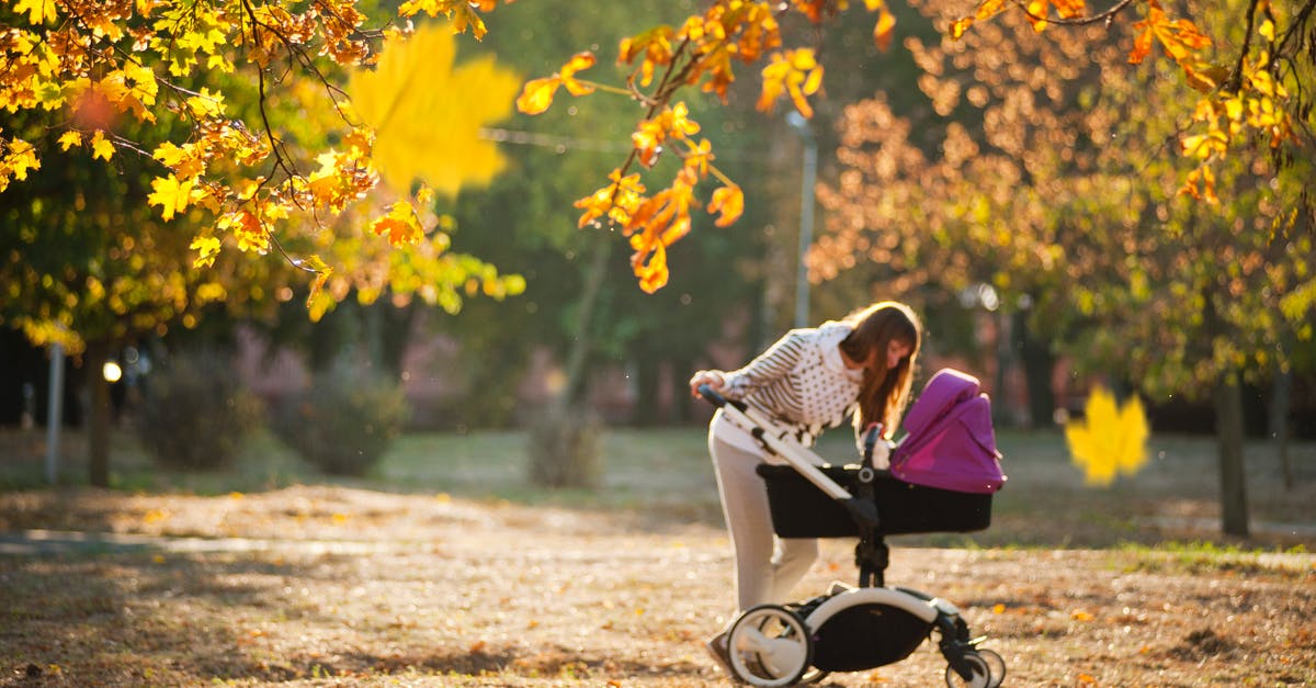 Is it possible to check-in a double stroller on a flight? - Woman In Grey Pants Holding Black And Purple Stroller 