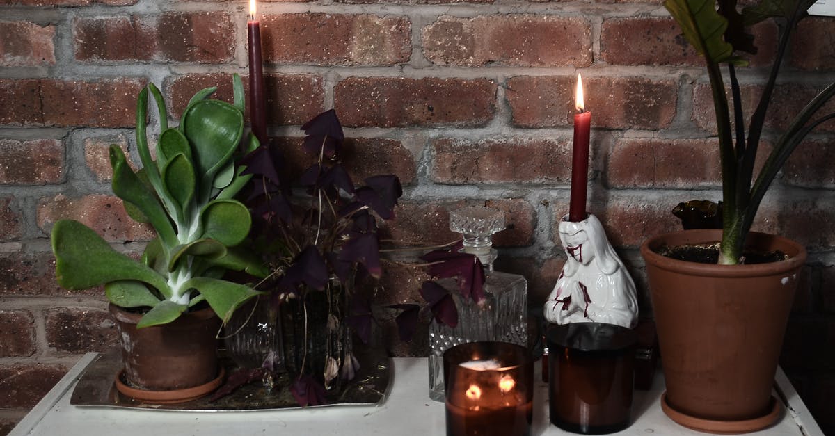 Is it possible to consolidate Virgin (Velocity) with AirNZ Airpoints? - Burning candles near potted plants on table in house