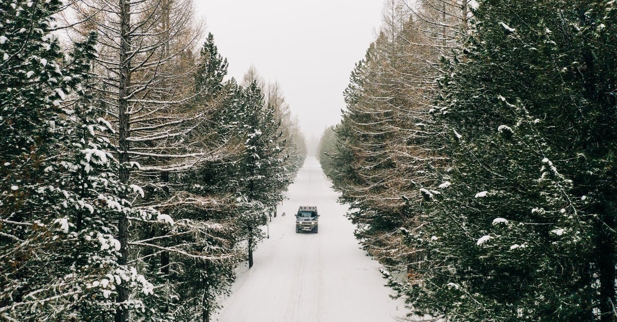 Is it possible to drive in the movie-famous LA canal? - Snow Covered Road Between Trees