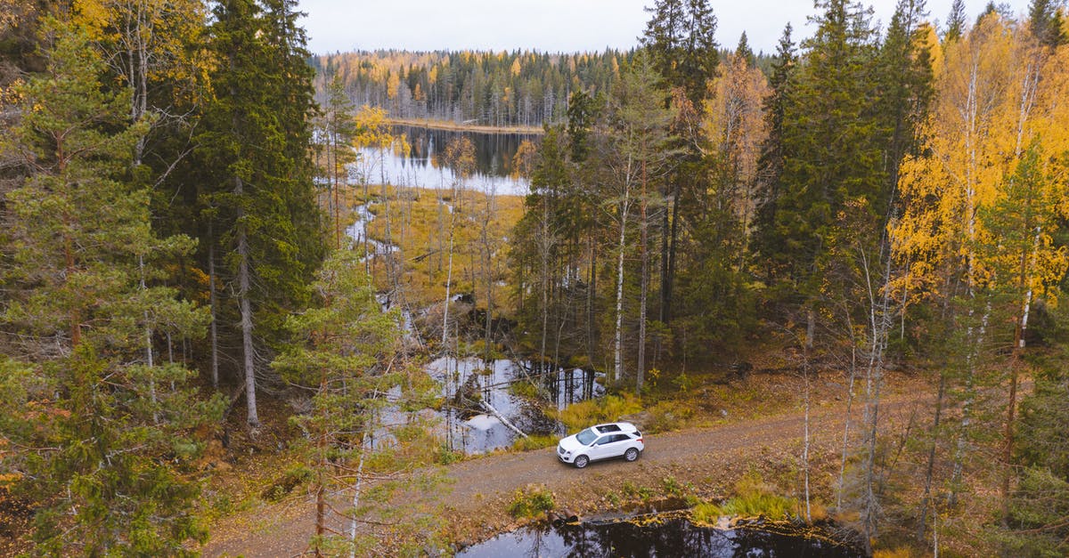 Is it possible to drive to Hawaii? - Car Driving in an Unpaved Road in the Forest