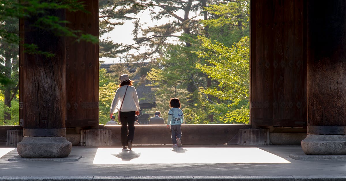 Is it possible to enter Japan for a few hours with a group travel? - Photo of People Walking