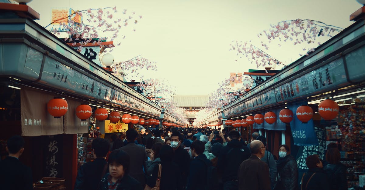 Is it possible to enter Japan for a few hours with a group travel? - Group of People at the Street