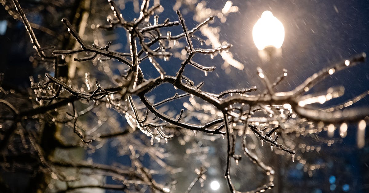 Is it possible to make last-minute reservations on the City Night Train? [closed] - Icy Tree Branches in City at Night