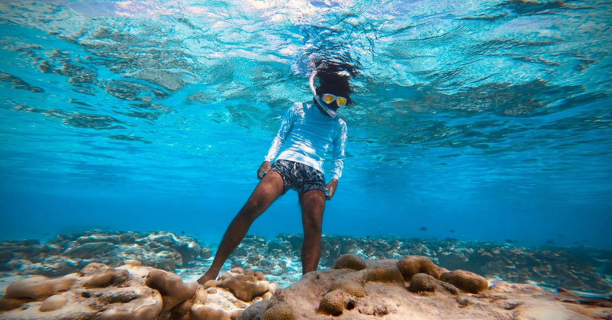 Is it possible to manually release an oxygen mask on airplanes? - Unrecognizable woman snorkeling underwater