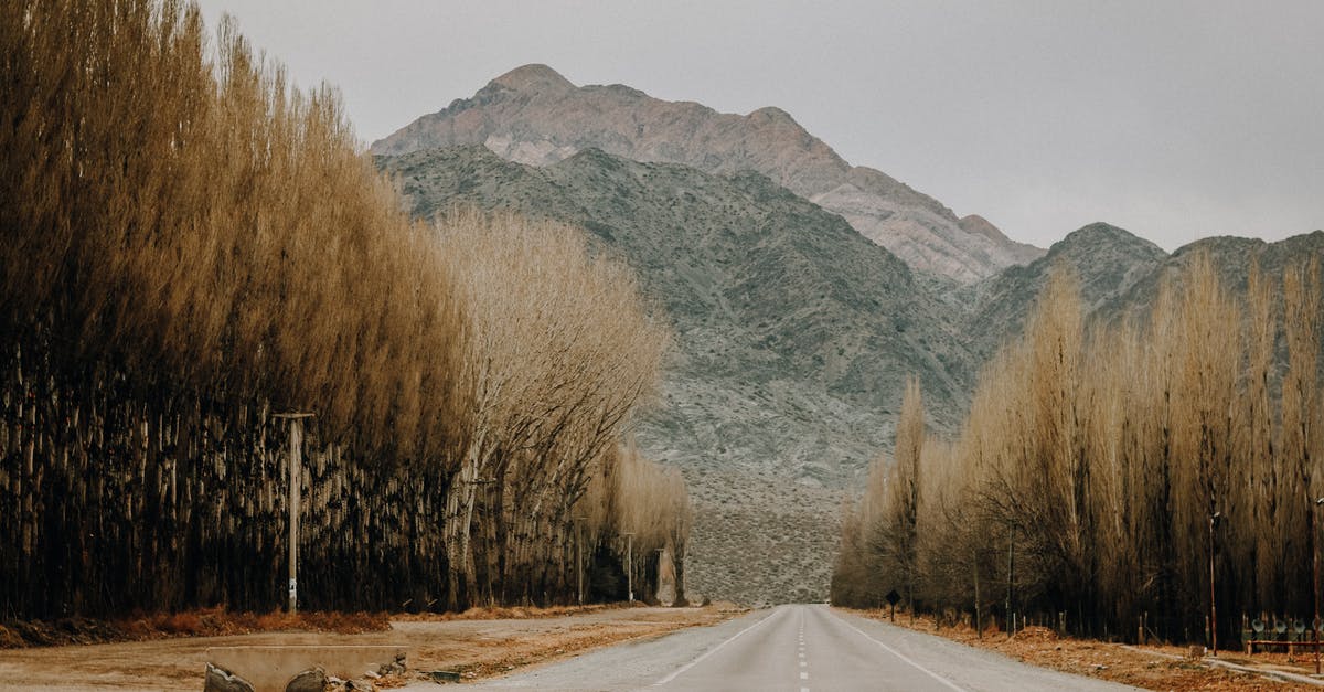 Is it practical to travel in Argentina with limited knowledge of Spanish? - Straight empty asphalt road going through forest with leafless trees towards mountains against cloudy sky in autumn