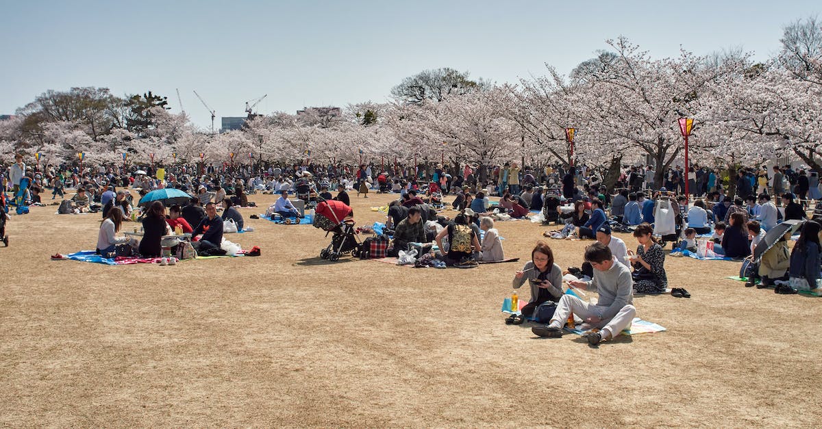 Is it safe to travel in Japan considering the nuclear situation? - People Sitting on Brown Field